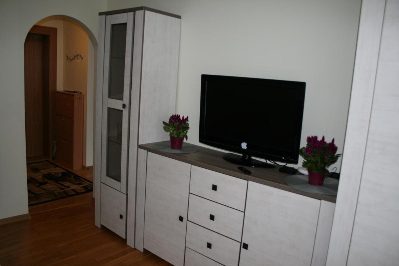 Cosy One Room Apartment Vilnius Kültér fotó