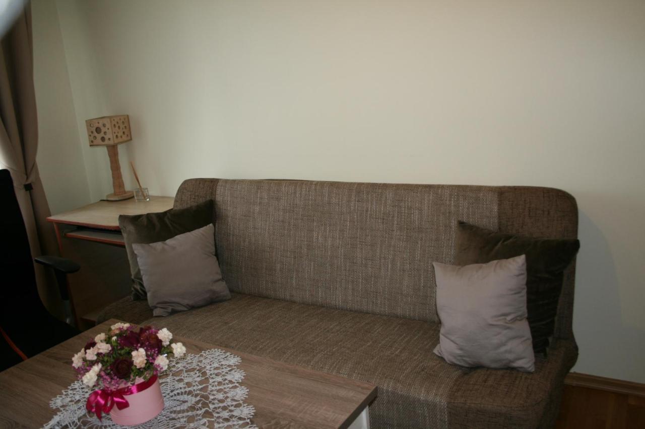 Cosy One Room Apartment Vilnius Kültér fotó