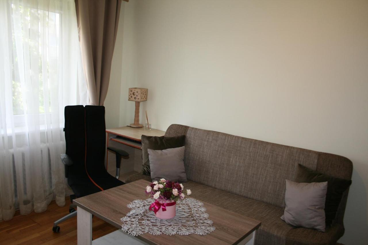 Cosy One Room Apartment Vilnius Kültér fotó